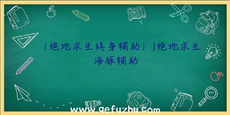 「绝地求生终身辅助」|绝地求生海豚辅助